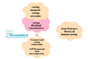 Jean Watson’s Theory of Human Caring - Nurseslab