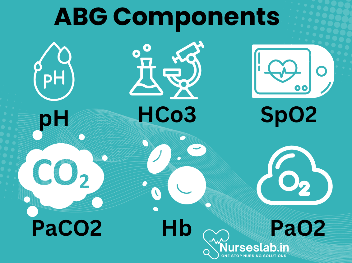 ABG Interpretation for Nurses - Nurseslab