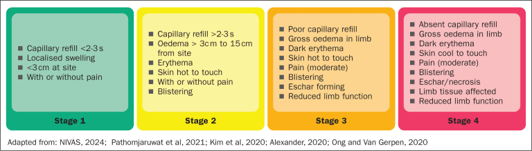 IV Therapy Infiltration Vs Extravasation With Case Studies Nurseslab