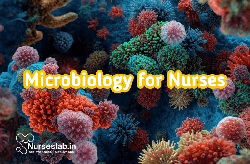 microbiology-basics-for-nurses-nurseslab