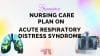 Nursing Care Plan On Acute Respiratory Distress Syndrome Ards