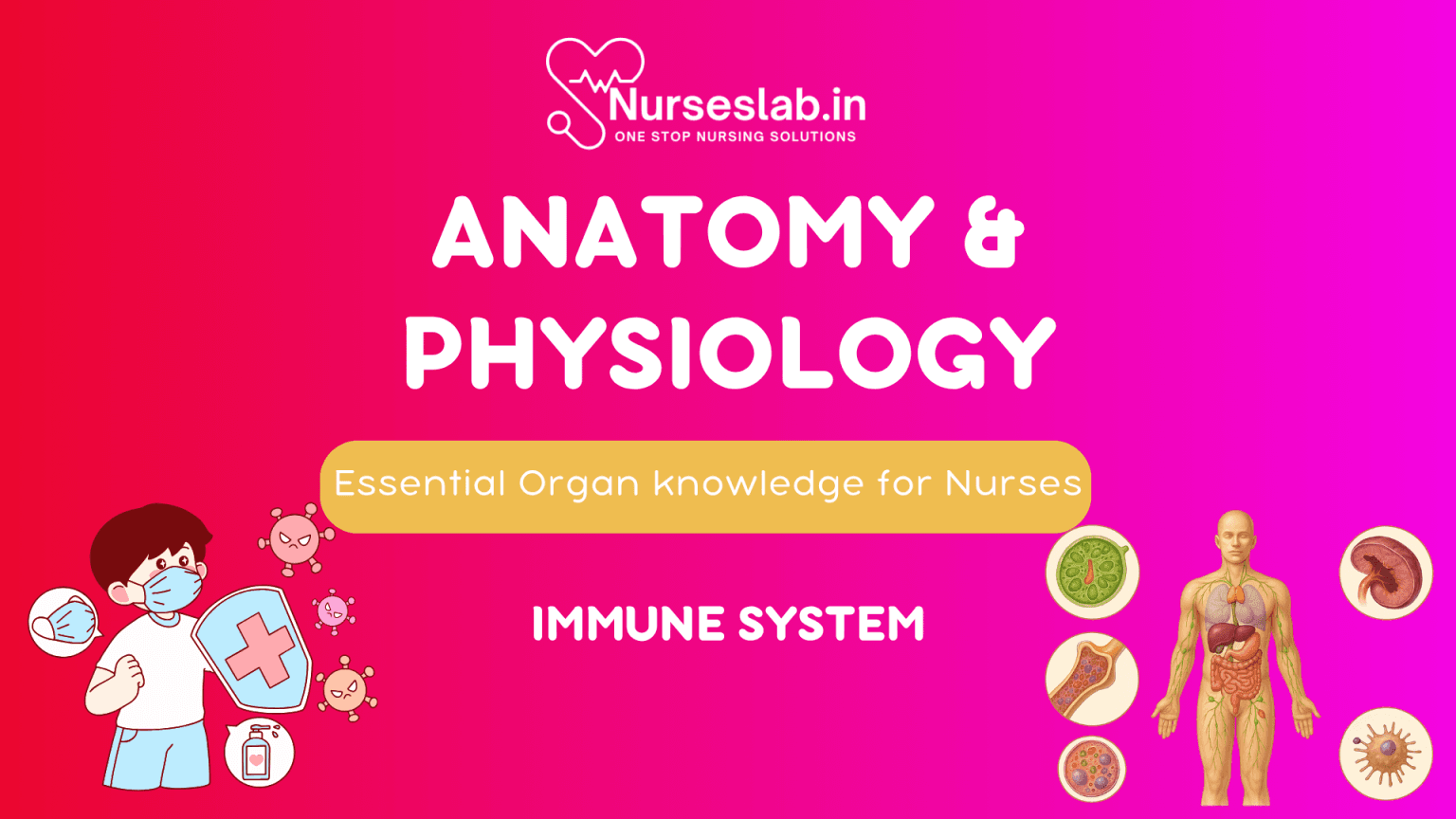 Immune System - Introduction - Nurseslab