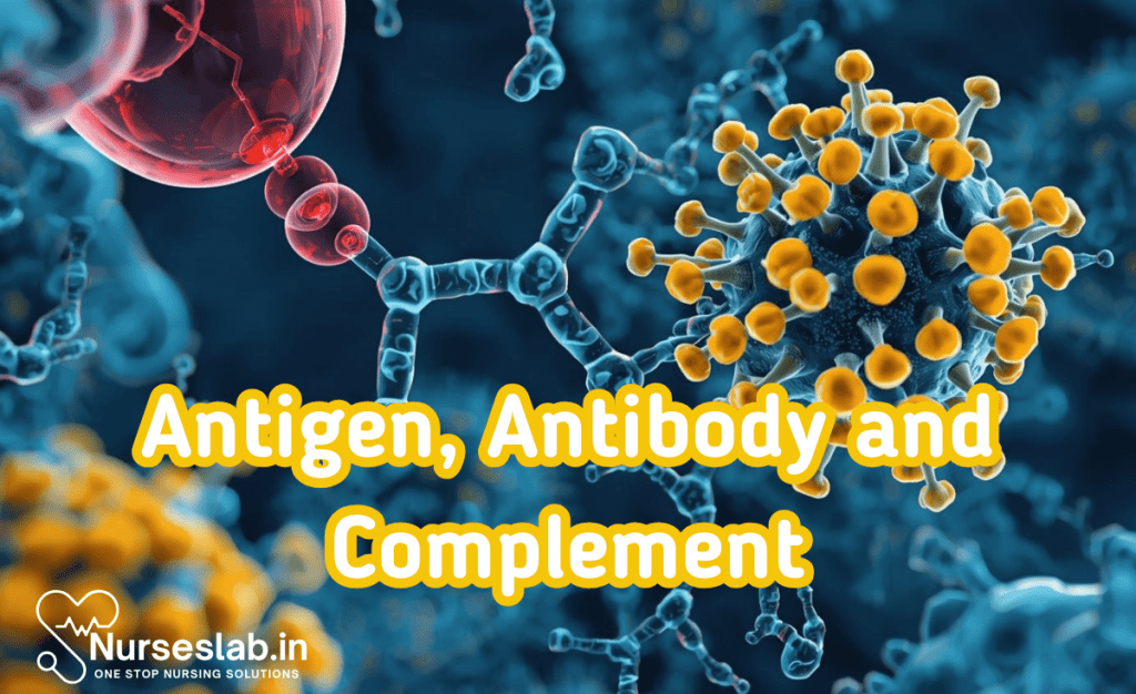 Antigen, Antibody and Complement