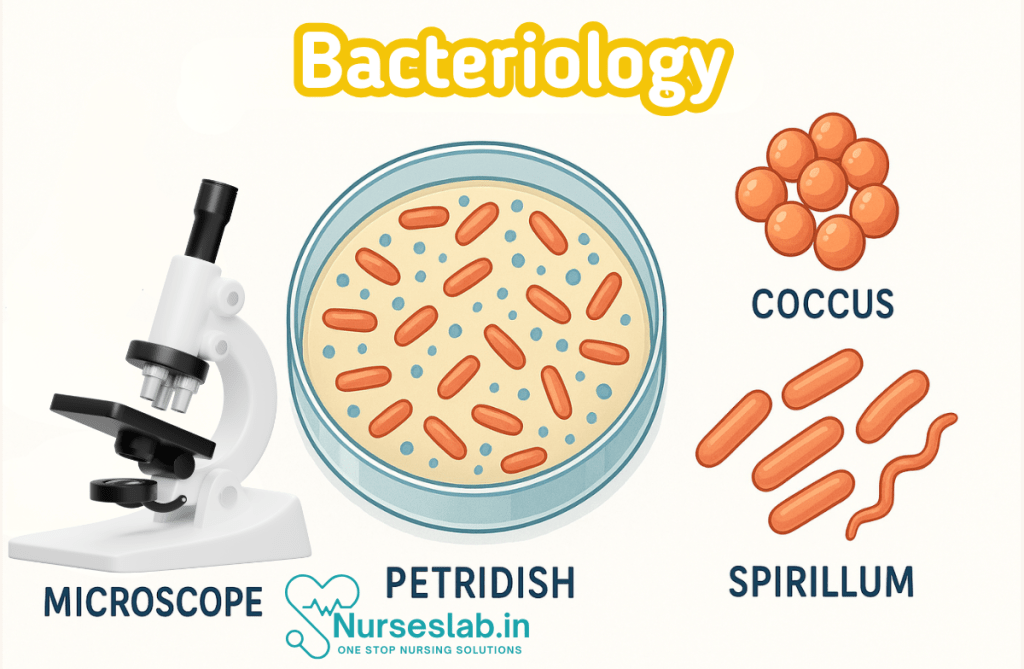 Bacteriology
