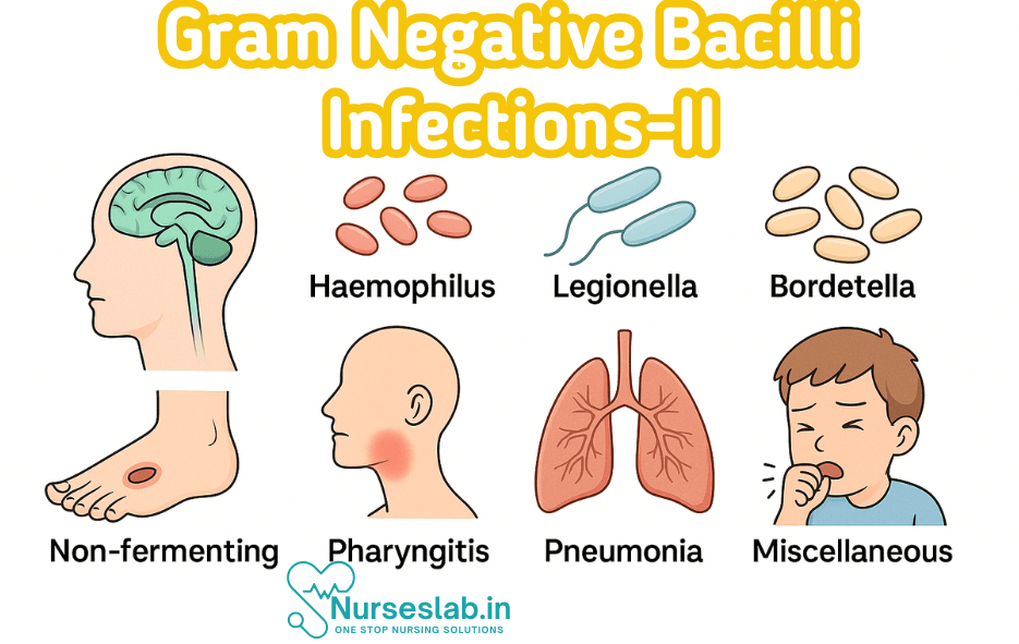 Gram‑negative bacilli infections
