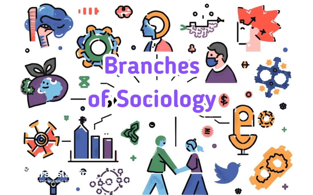 Branches of Sociology