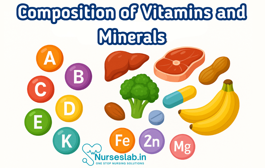 Composition of Vitamins and Minerals