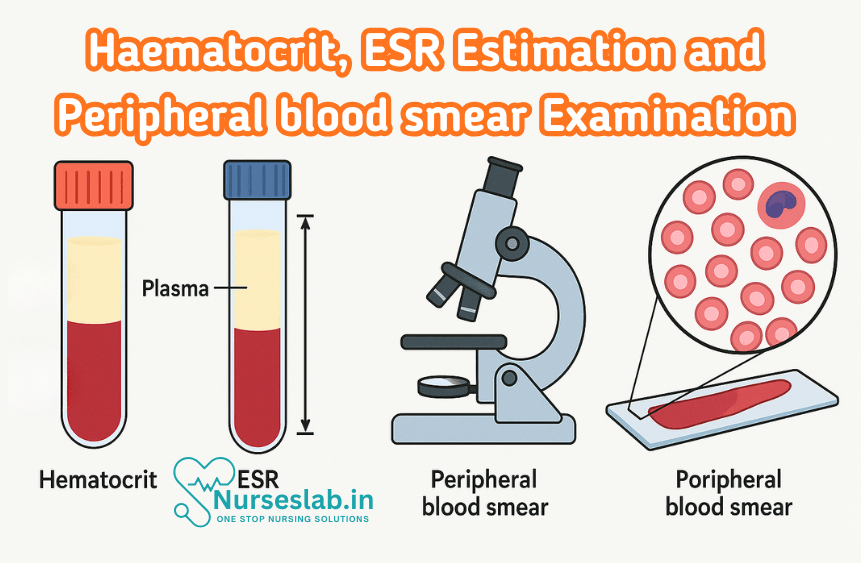 Haematocrit, ESR estimation, and peripheral blood smear examination