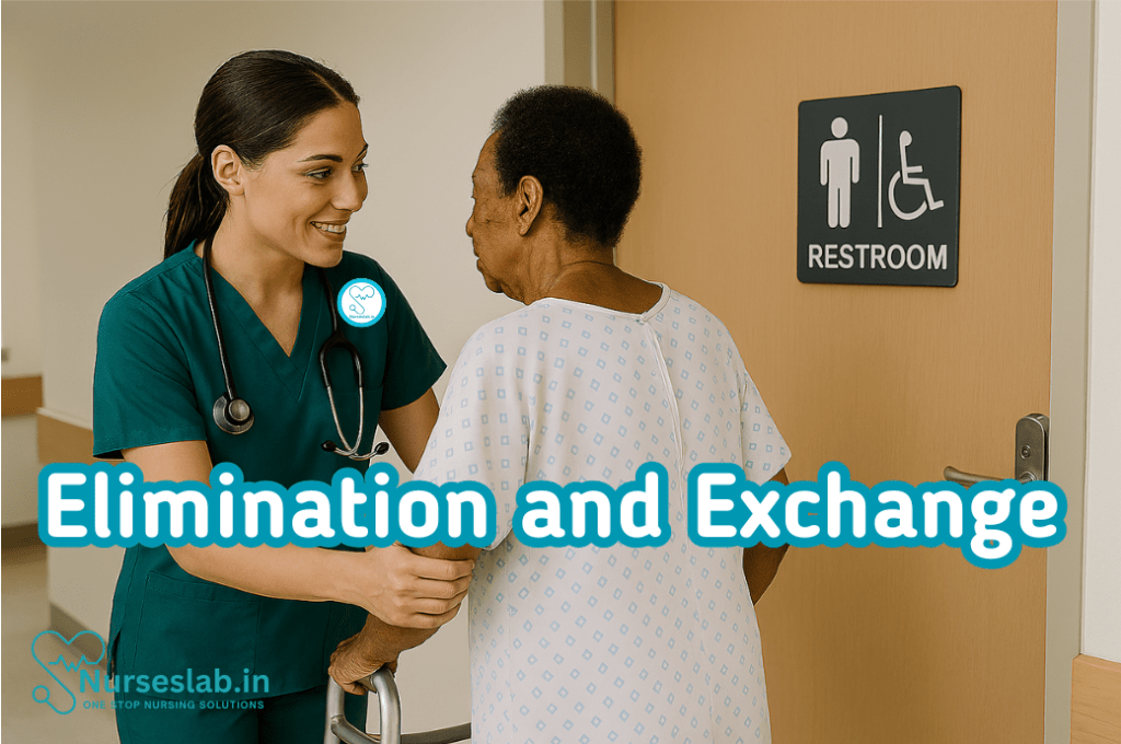 NANDA Nursing Diagnoses: Elimination and Exchange