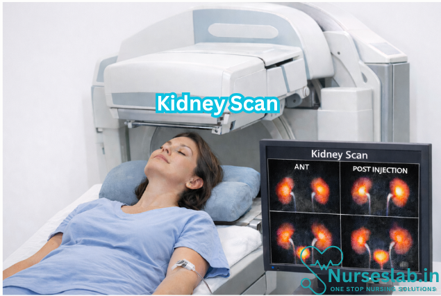 Renal Scan